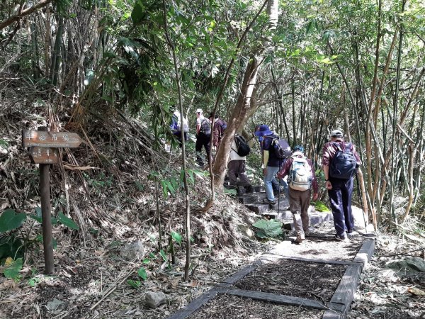 天母→猴洞→半嶺→紗帽路→湖山→紗帽山登山口1494749