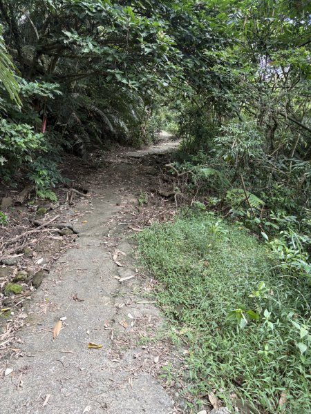 20251018台南 崁馬鞍部啟登崁頭山2920739