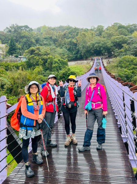 台北縱走第四段訪雙溪山 梅花山與西峰南峰西南峰 碧山3012803