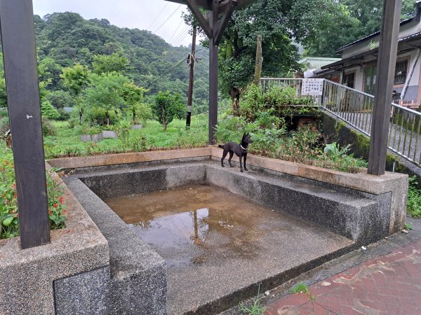 新北三貂嶺瀑布群步道3106274