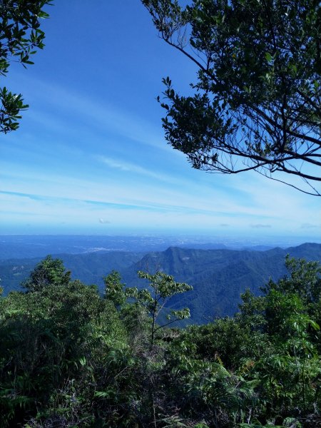 高台島田步道1038714