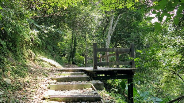 福山部落,內洞森遊區2552421