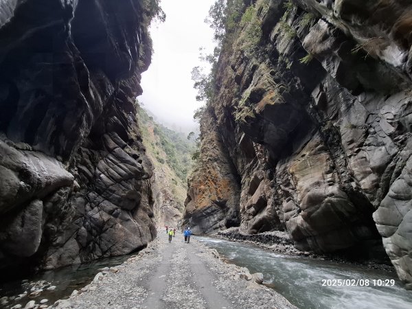 2025.02.08 限時秘境?菜市場? 北港溪峽谷步道2709024