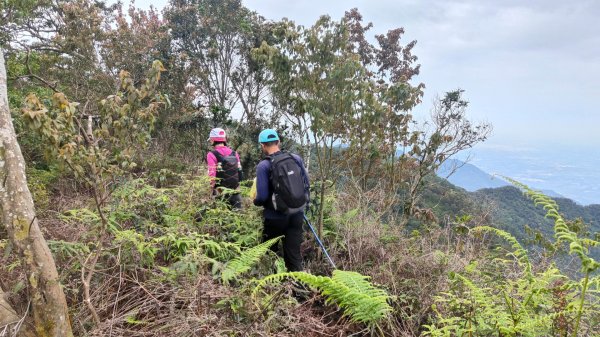 笠頂山單攻西大武山(西北峰) 九星連珠搏命演出歷險記 2025年3月20日2739010