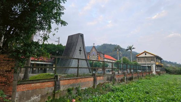 20260127流水蓮華-飛沙縱走-坑尾山南稜2992539