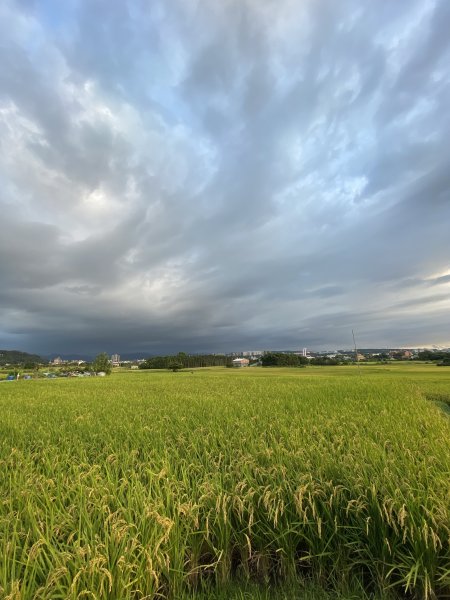 20250705-Ep.04三段崎古道-2025森遊竹縣皮皮獅探險隊2851522