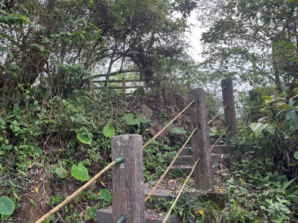 2023_0429_挑筍古道2138239