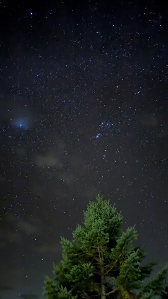 玉山主峰步道2950038