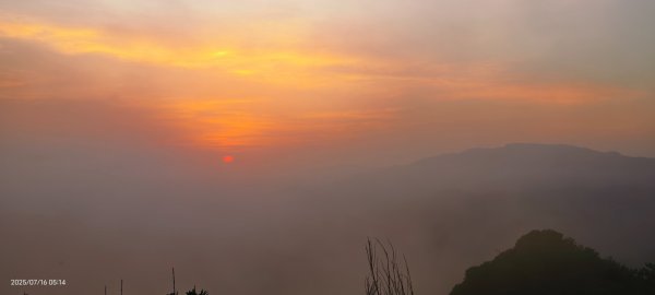雲山水花鳥蝶-天龍國阿伯的日常 7/162838401
