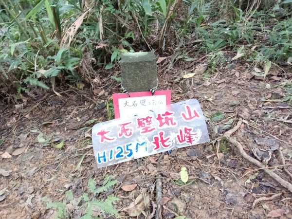 貢寮區大嶺古道+大石壁坑山+龍字碑+五酒桶山+龍崗山2948292
