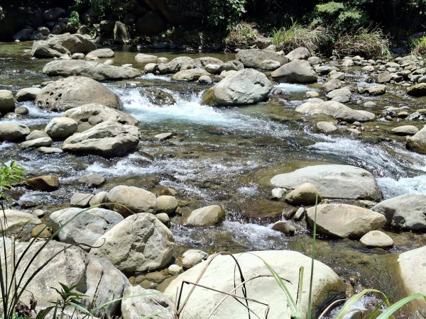 《苗栗》清涼步道｜ 南庄蓬萊溪護魚步道及四十二份坪步道202606213077913