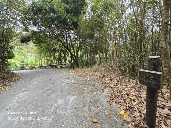 2025-12-20橫龍古道2967554