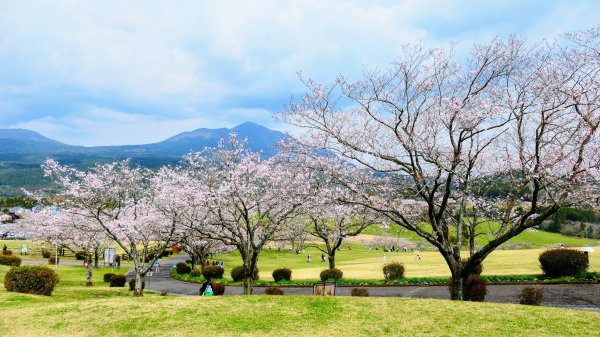 鹿兒島高千穗牧場3028175