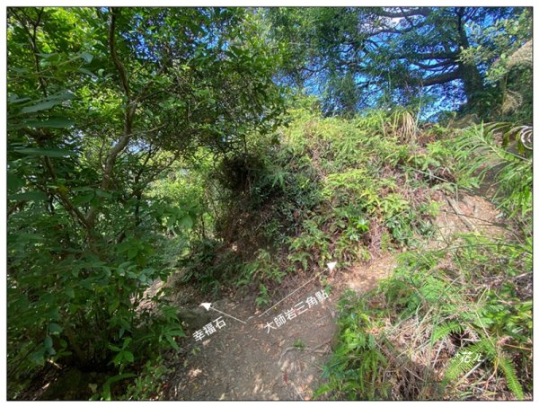 烏尖連峰縱走18基石 ( 唭哩岸山、軍艦岩、丹鳳山 )2980998