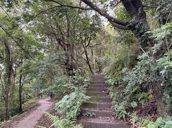 [微笑山線_第三段] 2026_0328 鳶山山系_福德坑山3025567