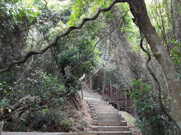 【跟著寶寶漫步參山】獅頭山五連走1136017