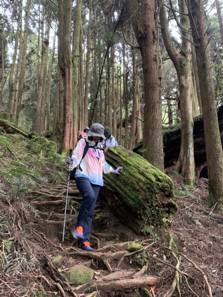 20250517義義兒玉山-東水山2791711