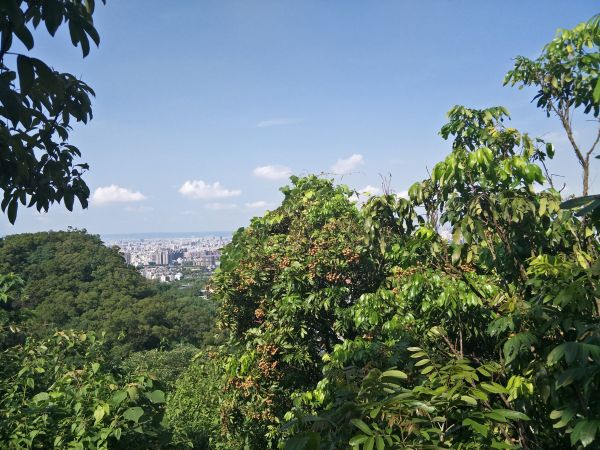 南觀音山步道374793