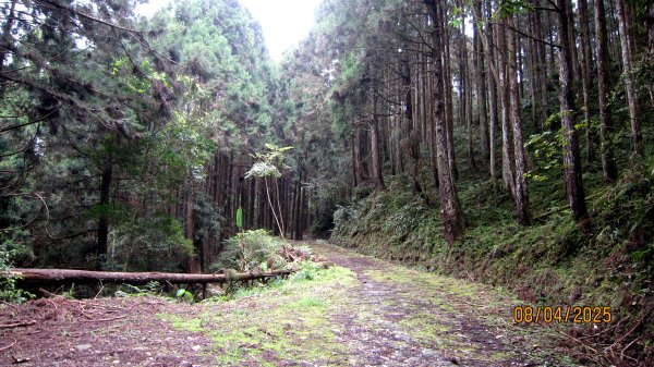 【油羅山/露營】 仙境舒活健走，雲端徜徉野趣！2887905