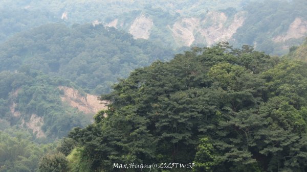 《南投》峰峰相連｜草屯九九峰森林步道O型202509062879311