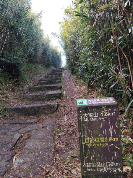 【臺北大縱走 2】【第二回合全程完成證書】鞍部→大屯山步道→大屯山主峰→大屯坪步道→二子坪步道2960358