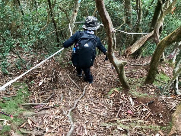 搭過山車飛越哈加縱走1132954