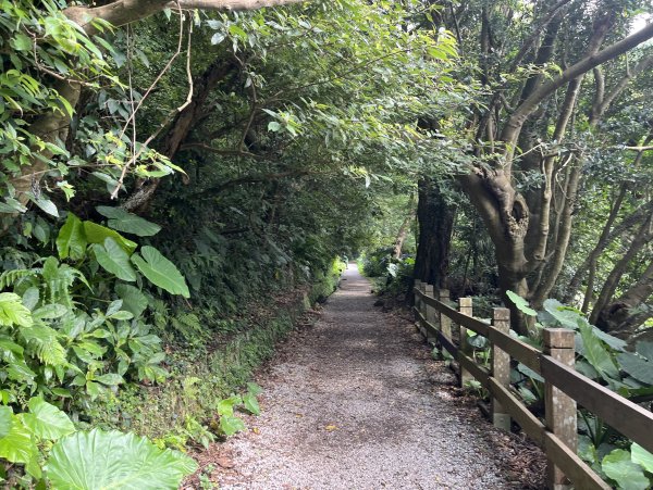 [跟著2025雙北世壯運探索雙北市-6/21] 2025_0614 文化排擊徑（文化大學－天母古道）封面