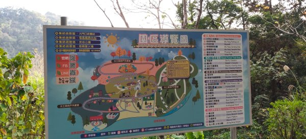 東勢林場森林浴場步道3019129