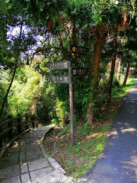 【新北。金山】獅頭山公園步道~遠眺金山八景之燭臺雙嶼1458198