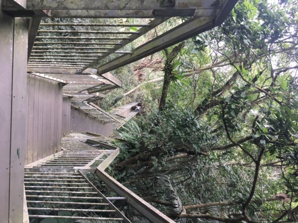 四十二份湧泉2723154