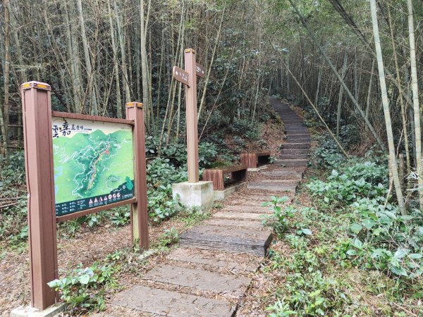 2023.12.23 梨子腳山2833258