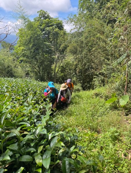麻竹湖步道走麻竹湖山/阿郡山2821267