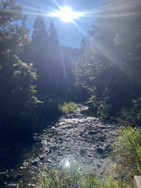 觀霧森林遊樂區（榛山及檜山巨木步道）3060133