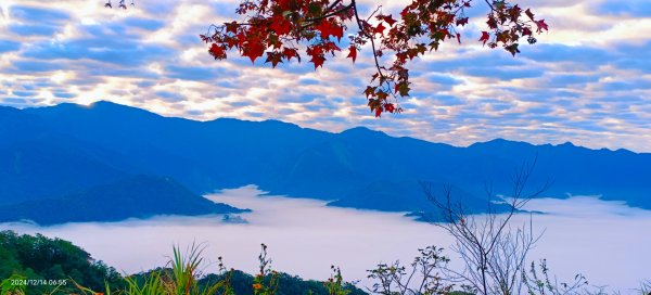 二訪馬拉邦山，解鎖 #琉璃光雲海 #日出雲海  #血月 #斜射光 #楓葉紅了！2668653