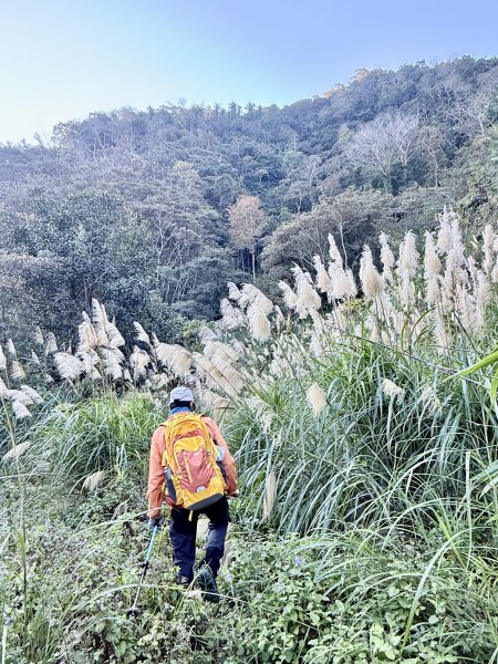 苗栗冷門山--蕃婆石山5基石連登   2026.01.112981359