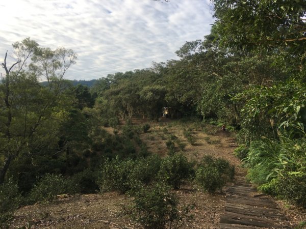 六寮崙山、雞罩山、白雞山8字走2371119
