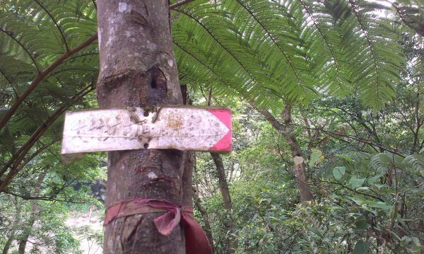 蓬萊仙島_石牛山_油井窩山O型201404301959932