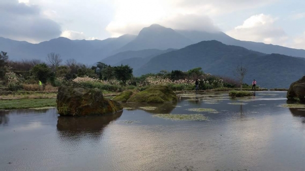 鹿角坑溪古道、八煙野溪溫泉古道23739