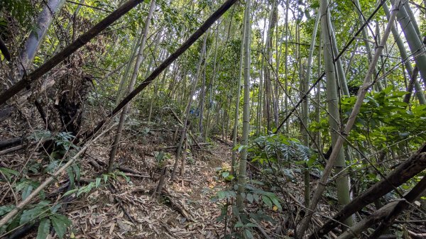 115.04.12金平山西峰-蝙蝠洞之旅3034710