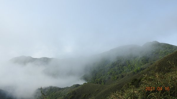 陽明山包場再見雲海04161351172