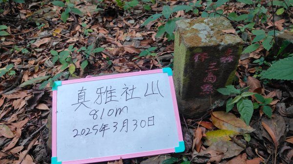 衣丁山單攻初體驗2025年3月30日2749814