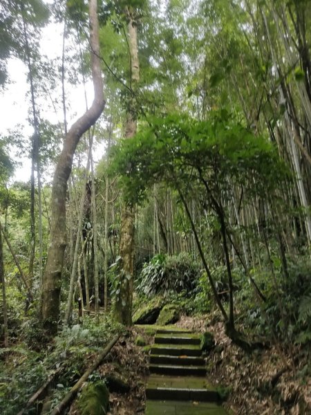 1140830迷糊步道3099572