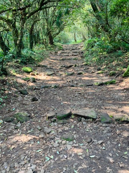 台北大縱走第二段1635046