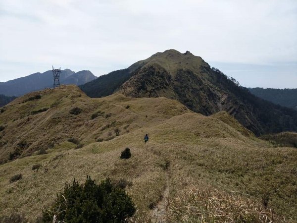 能高越嶺-能高主峰，一日單攻1009841