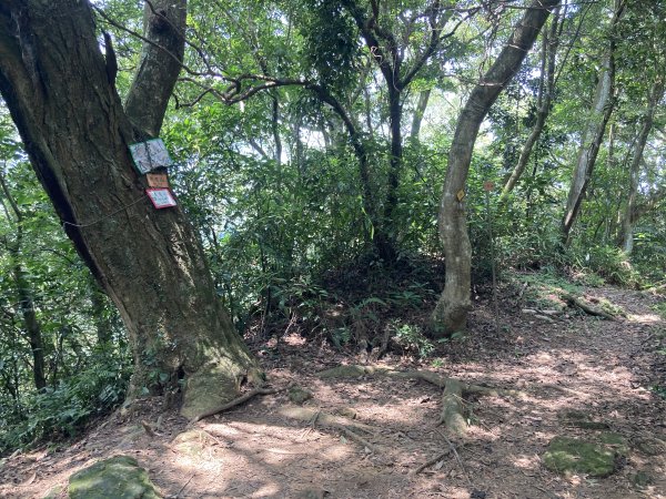 打牛崎古道2564040