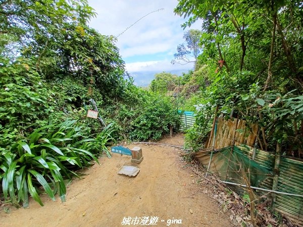 【台北。士林】便捷好親山。 小百岳集起來。 編號9小百岳劍潭山1587366