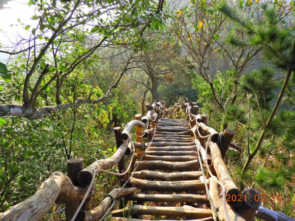 臺中 北屯 頭嵙山1266558