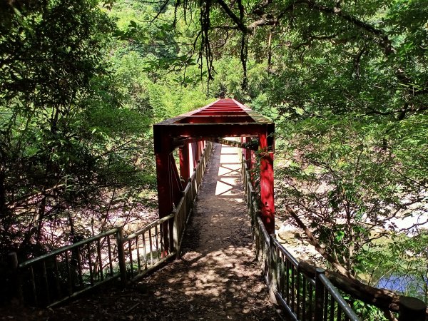 【新北-臺灣百大必訪步道】流水淙淙的三貂嶺瀑布群步道1455498