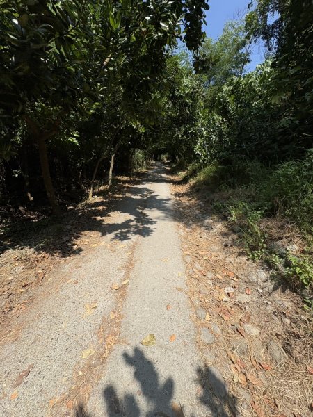 20251012高雄半屏山步道2915121