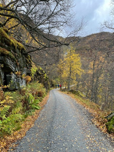 Norway-Myrdal-VATNAHALSEN HOTEL-湖邊健行2917769